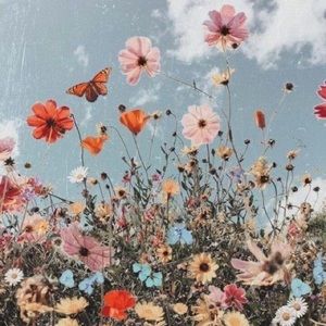 Meet your Posher, Lena